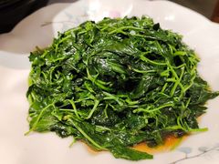 -松沪名灶·豆浆鱼头·新上海菜(飞航吾悦广场店)