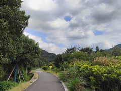 -北仑森林植物园
