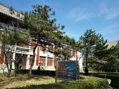 -北京大学赛克勒考古与艺术博物馆