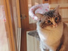 -白兔子密室(长寿路店)