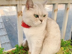 -小时光咖啡馆(北锣鼓巷店)