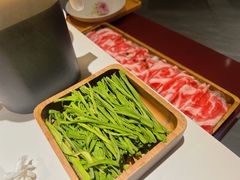 呼盟草原羔羊肉-九鼎轩火锅大排挡
