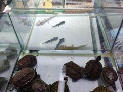 -天丰利生活MALL(和平里店)