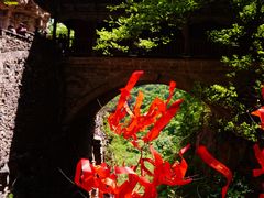 -苍岩山风景名胜区