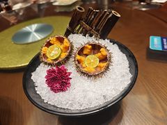 鲜活海胆-东海怡品海鲜豆捞(西水东店)