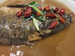海参烧蹄筋-福来居烤鸭店(天坛二店)