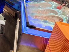 -海草馆自助餐厅(悦海店)