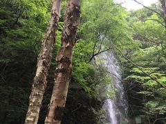 -本溪汤沟绿石谷森林公园