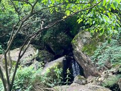 -四明山国家森林公园