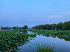 -长春市南湖公园