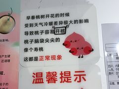 -老袁家蜜桃农场·阳山水蜜桃