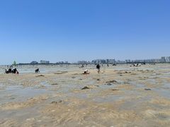 -北海金海湾红树林生态旅游区