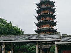 -红梅公园