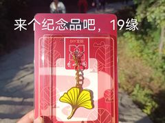 -香山公园