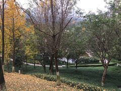 -龙头寺公园