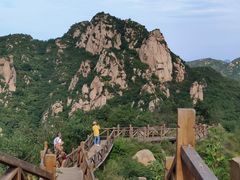-大岭沟猕猴桃谷风景区