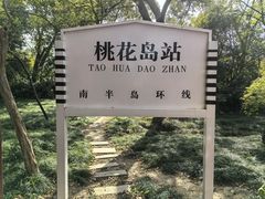 -金鸡湖桃花岛