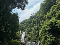 -鼎湖山风景区