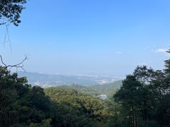-广州市帽峰山景区