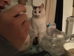 -椰子下蛋(南锣鼓巷店)