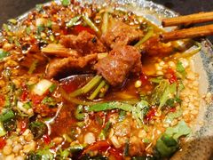 -镇江龙·火锅串串(武侯祠店)