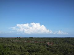 -北海金海湾红树林生态旅游区