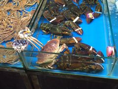 -三旗百汇商品城