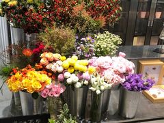 -植物学家的女儿(北马道巷店)