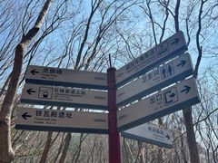 -崂山巨峰游览区