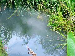 -武汉紫薇都市田园