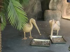 -海合安武汉极地海洋公园