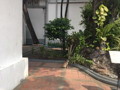 -曼谷国家博物馆