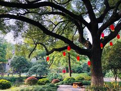 -杭州花家山庄