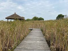 -梁鸿国家湿地公园