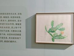 -深圳博物馆(古代艺术馆)