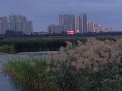 -哈尔滨大剧院
