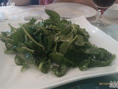 某绿叶菜-明城五号烤鸭坊(建国门店)