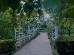 -国家植物园南园