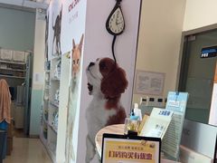 -瑞派申生动物医院·24H夜诊·国际动物医疗中心·骨外科(吴中路店)