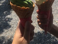 -豆政(金閣寺境内売店)