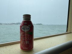 -尖沙咀中国客运码头