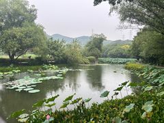 -八卦田遗址公园