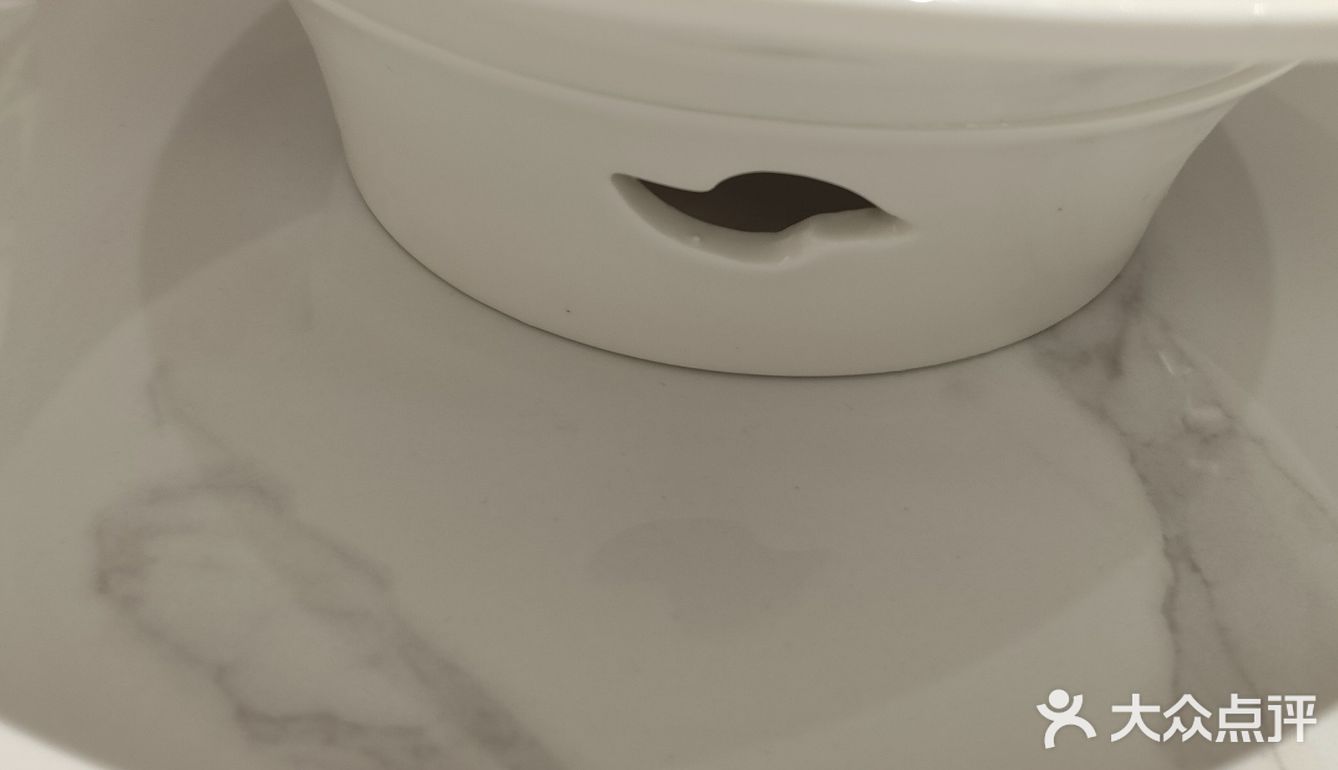 今天你芽笼了吗