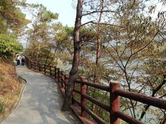 -羚羊峡古栈道森林公园