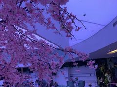 -花开餐厅(环湖中路店)