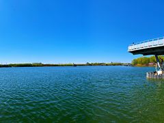 -大兴滨河森林公园