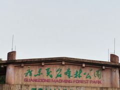 -广东茂名森林公园