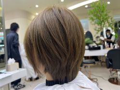 -GANO HAIR 