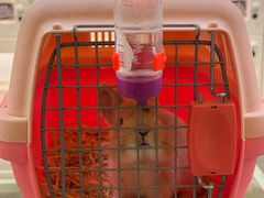 -龙猫仔乐园(惠福东路店)