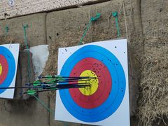 -道顺射箭·团建·骑射(张杨路店)